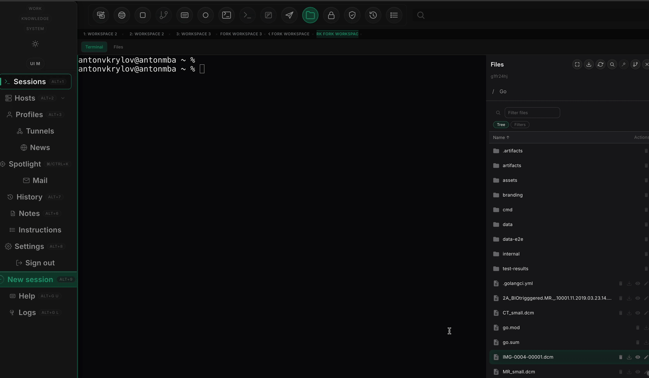 Animated DICOM workbench showing region selection, the built-in review panel, and the structured proof-style result flow.