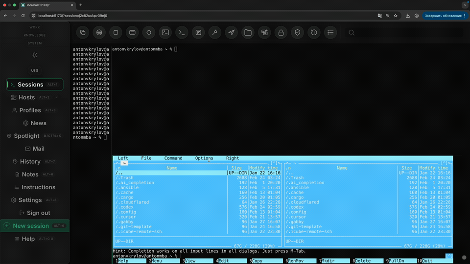 Portal showing split panes inside a browser tab.